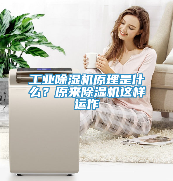 工業杏仁视频APP成人官方污原理是什麽？原來杏仁视频APP成人官方污這樣運作