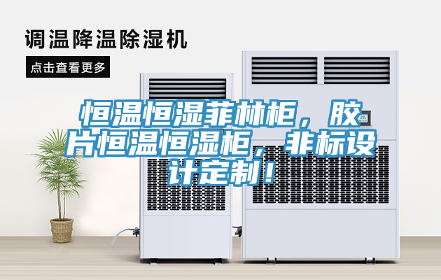 恒溫恒濕菲林櫃，膠片恒溫恒濕櫃，非標設計定製！