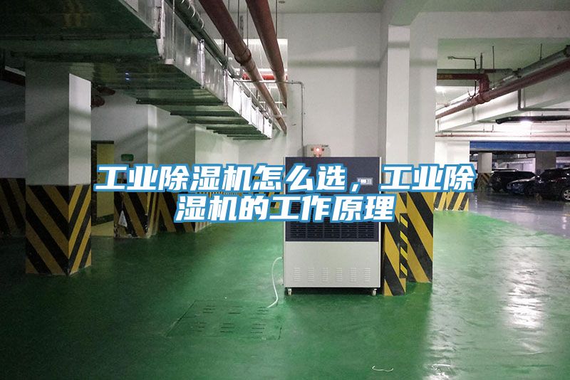 工業杏仁视频APP成人官方污怎麽選，工業杏仁视频APP成人官方污的工作原理