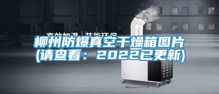 柳州防爆真空幹燥箱圖片(請查看：2022已更新)