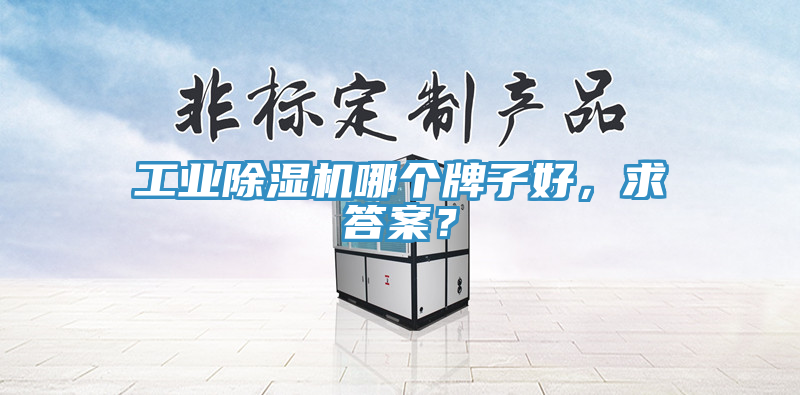 工業杏仁视频APP成人官方污哪個牌子好，求答案？