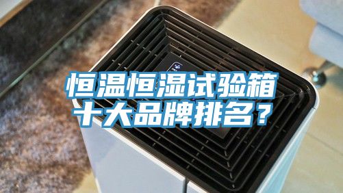 恒溫恒濕試驗箱十大品牌排名？