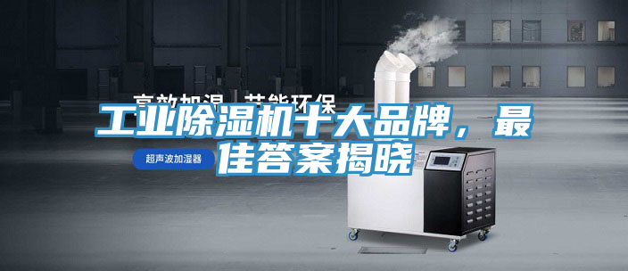 工業杏仁视频APP成人官方污十大品牌，最佳答案揭曉