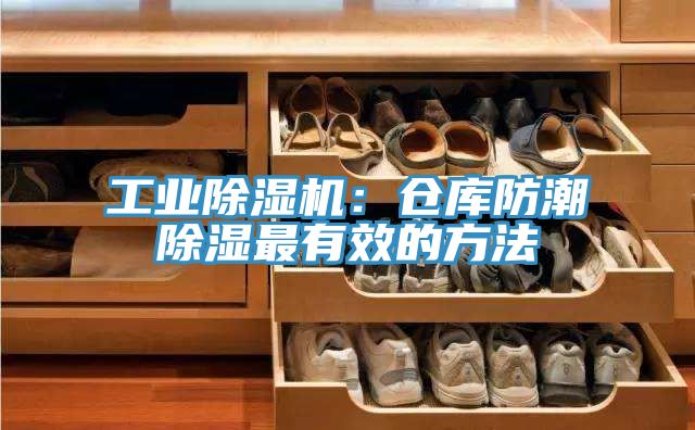 工業杏仁视频APP成人官方污：倉庫防潮除濕最有效的方法