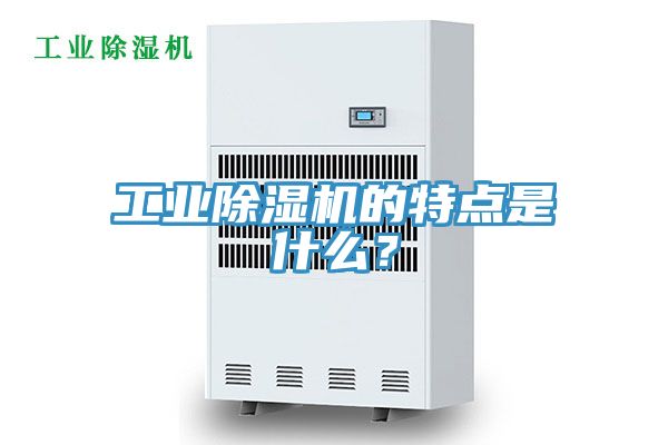 工業杏仁视频APP成人官方污的特點是什麽？