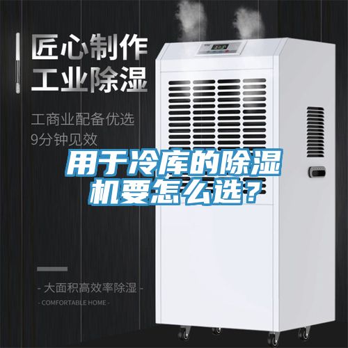 用於冷庫的杏仁视频APP成人官方污要怎麽選？