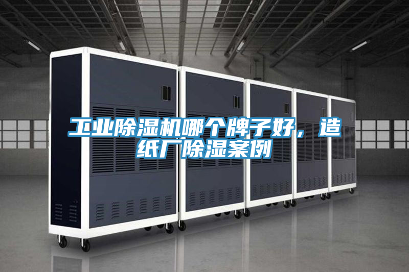 工業杏仁视频APP成人官方污哪個牌子好，造紙廠除濕案例