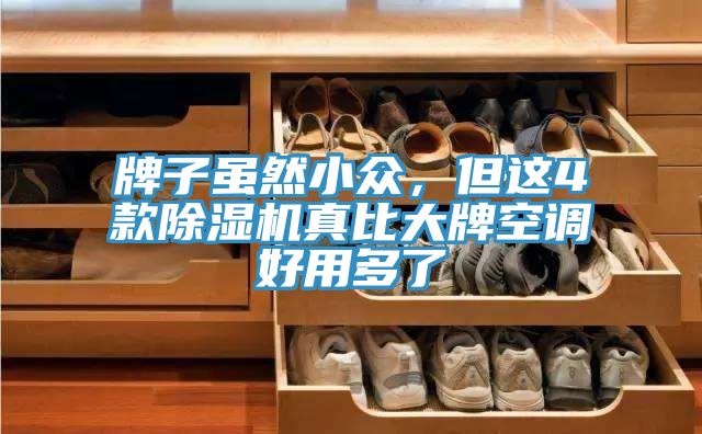 牌子雖然小眾，但這4款杏仁视频APP成人官方污真比大牌空調好用多了