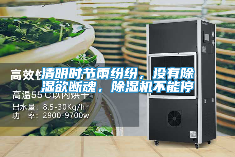 清明時節雨紛紛，沒有除濕欲斷魂，杏仁视频APP成人官方污不能停