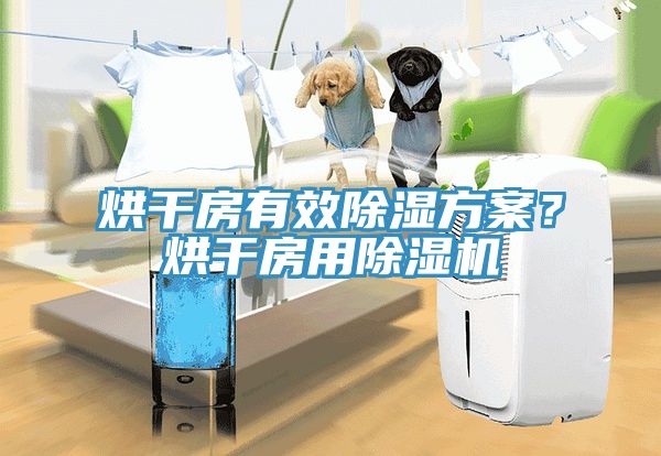 烘幹房有效除濕方案？烘幹房用杏仁视频APP成人官方污