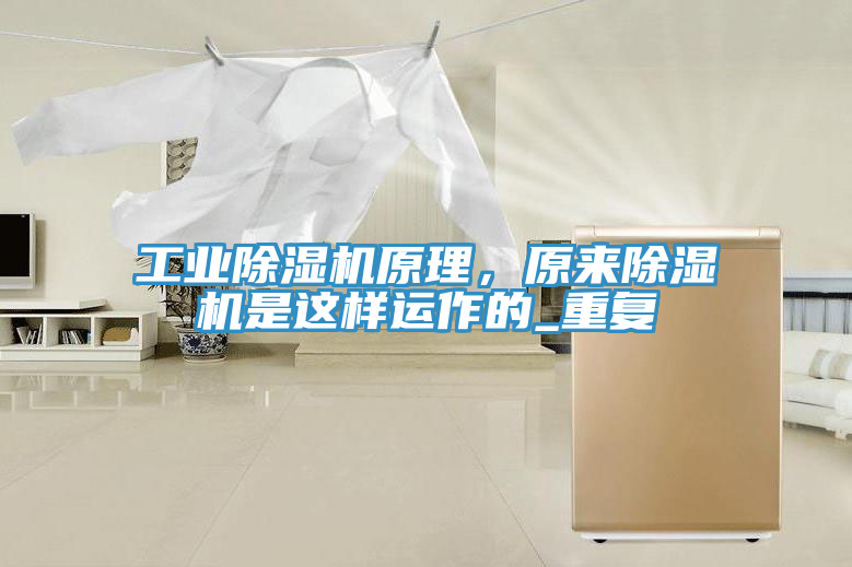 工業杏仁视频APP成人官方污原理，原來杏仁视频APP成人官方污是這樣運作的_重複