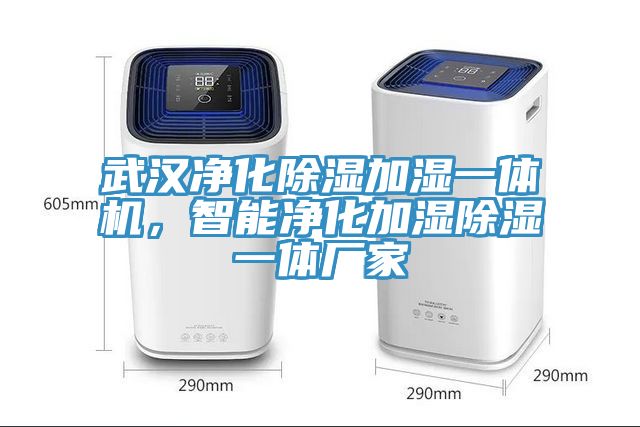 武漢淨化除濕加濕一體機，智能淨化加濕除濕一體廠家