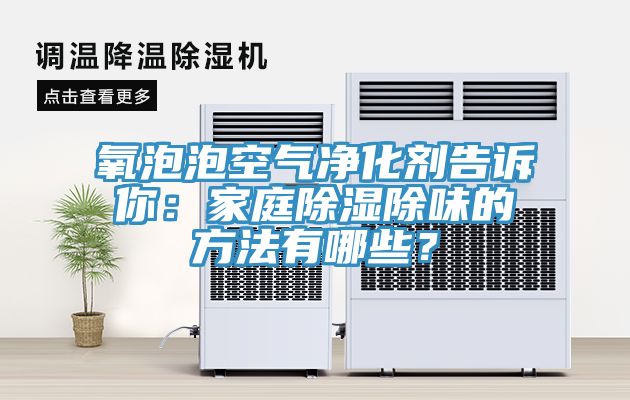 氧泡泡空氣淨化劑告訴你：家庭除濕除味的方法有哪些？