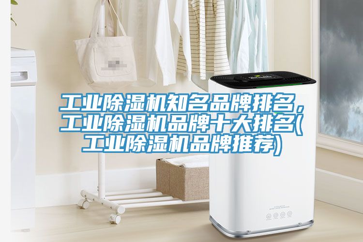 工業杏仁视频APP成人官方污知名品牌排名，工業杏仁视频APP成人官方污品牌十大排名(工業杏仁视频APP成人官方污品牌推薦)