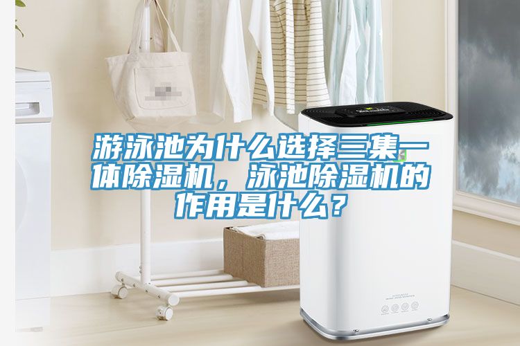遊泳池為什麽選擇三集一體杏仁视频APP成人官方污，泳池杏仁视频APP成人官方污的作用是什麽？
