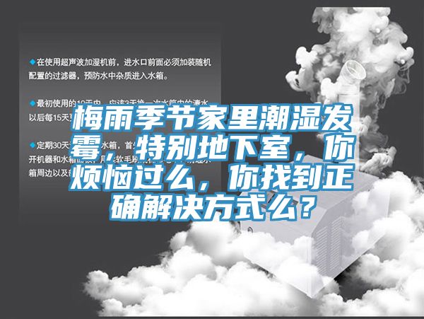 梅雨季節家裏潮濕發黴，特別地下室，你煩惱過麽，你找到正確解決方式麽？