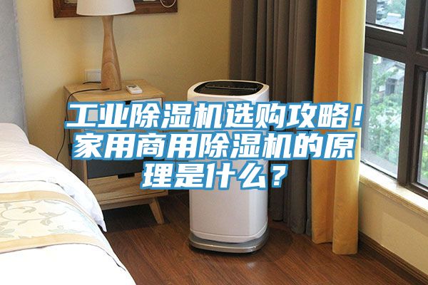 工業杏仁视频APP成人官方污選購攻略！家用商用杏仁视频APP成人官方污的原理是什麽？