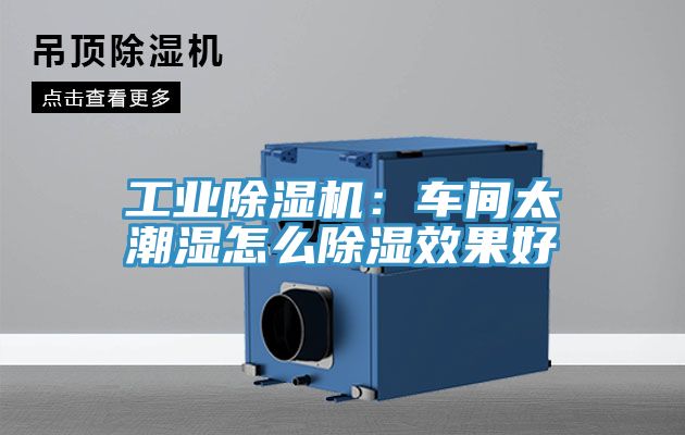 工業杏仁视频APP成人官方污：車間太潮濕怎麽除濕效果好