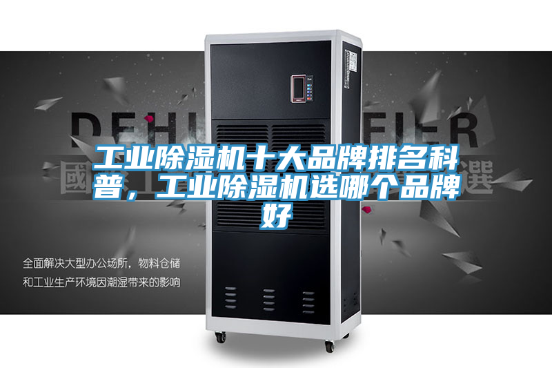 工業杏仁视频APP成人官方污十大品牌排名科普，工業杏仁视频APP成人官方污選哪個品牌好