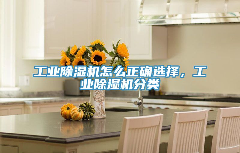 工業杏仁视频APP成人官方污怎麽正確選擇，工業杏仁视频APP成人官方污分類