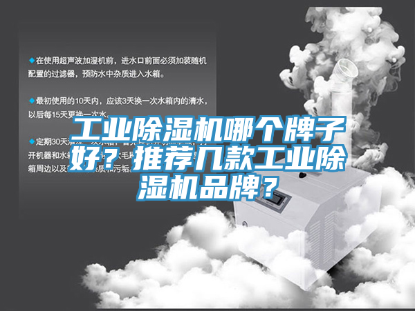 工業杏仁视频APP成人官方污哪個牌子好？推薦幾款工業杏仁视频APP成人官方污品牌？
