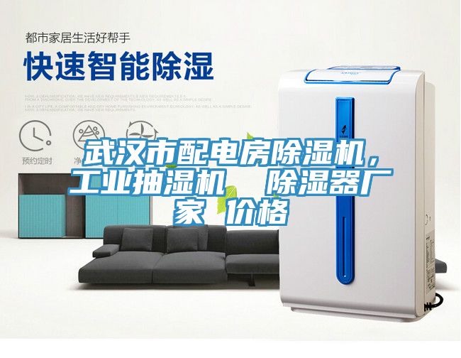 武漢市配電房杏仁视频APP成人官方污，工業抽濕機  除濕器廠家 價格