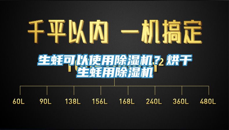 生蠔可以使用杏仁视频APP成人官方污？烘幹生蠔用杏仁视频APP成人官方污