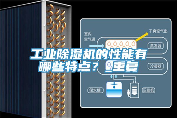 工業杏仁视频APP成人官方污的性能有哪些特點？_重複