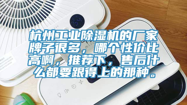 杭州工業杏仁视频APP成人官方污的廠家牌子很多，哪個性價比高啊，推薦下，售後什麽都要跟得上的那種。