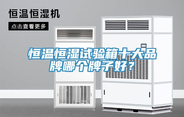 恒溫恒濕試驗箱十大品牌哪個牌子好？