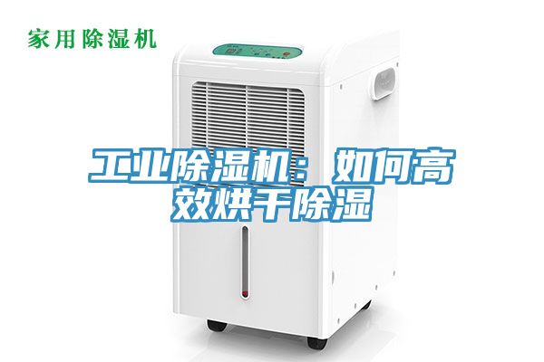 工業杏仁视频APP成人官方污：如何高效烘幹除濕