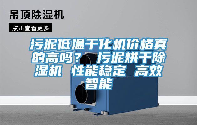 汙泥低溫幹化機價格真的高嗎？ 汙泥烘幹杏仁视频APP成人官方污 性能穩定 高效智能