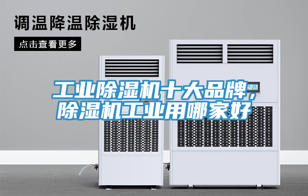 工業杏仁视频APP成人官方污十大品牌，杏仁视频APP成人官方污工業用哪家好