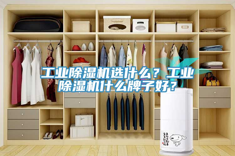 工業杏仁视频APP成人官方污選什麽？工業杏仁视频APP成人官方污什麽牌子好？