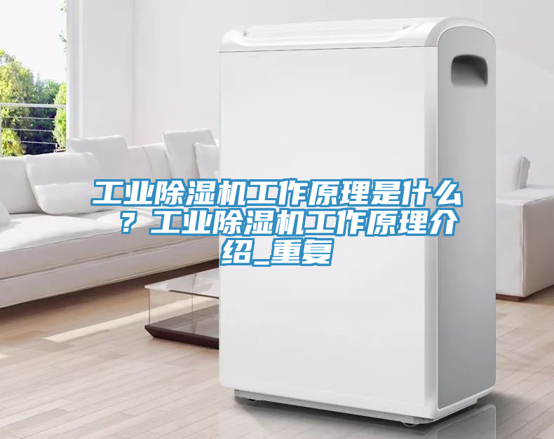 工業杏仁视频APP成人官方污工作原理是什麽 ？工業杏仁视频APP成人官方污工作原理介紹_重複