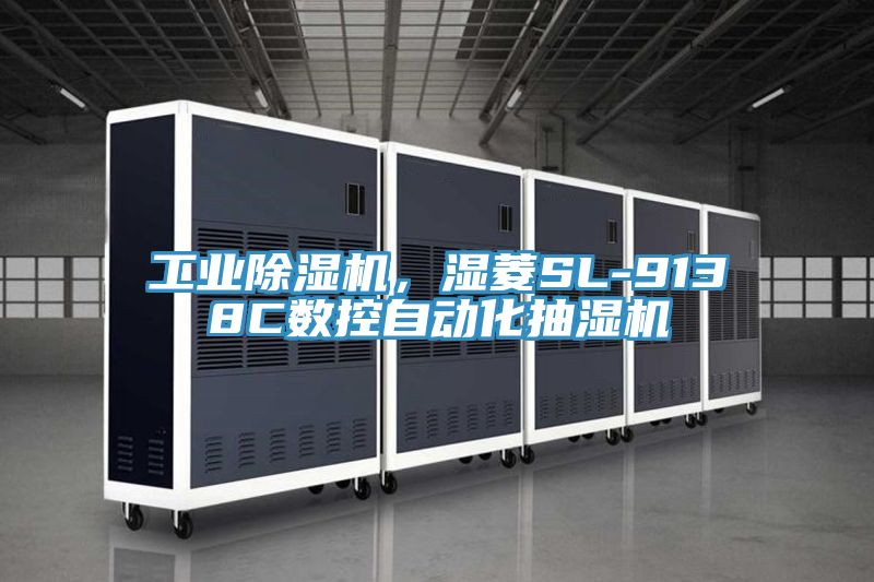 工業杏仁视频APP成人官方污，濕菱SL-9138C數控自動化抽濕機