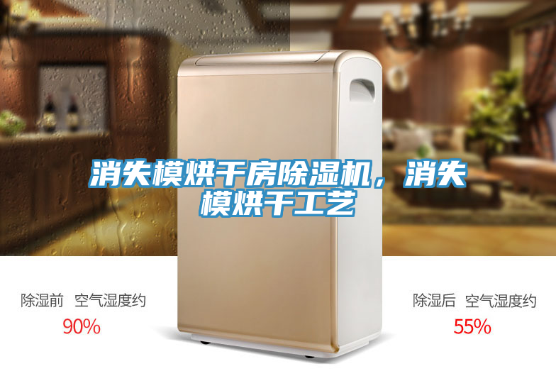消失模烘幹房杏仁视频APP成人官方污，消失模烘幹工藝