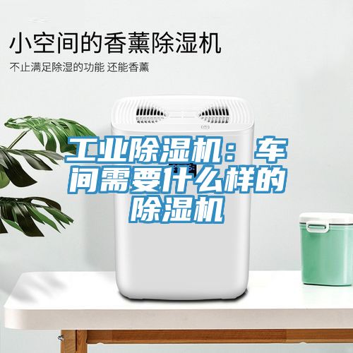 工業杏仁视频APP成人官方污：車間需要什麽樣的杏仁视频APP成人官方污