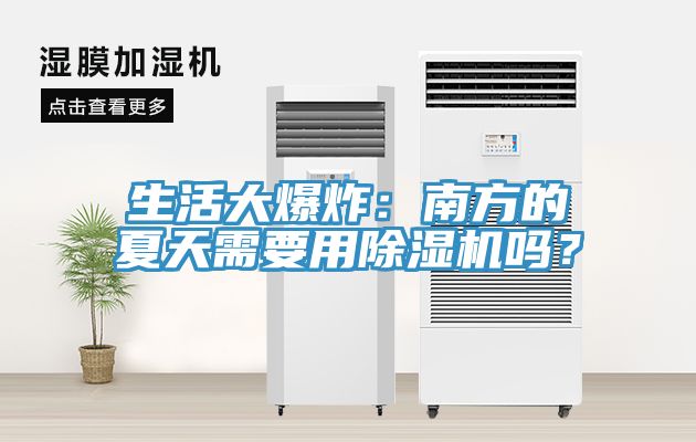生活大爆炸：南方的夏天需要用杏仁视频APP成人官方污嗎？