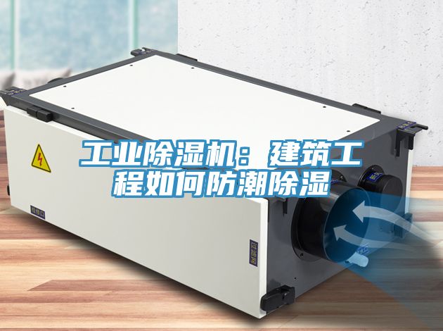 工業杏仁视频APP成人官方污：建築工程如何防潮除濕
