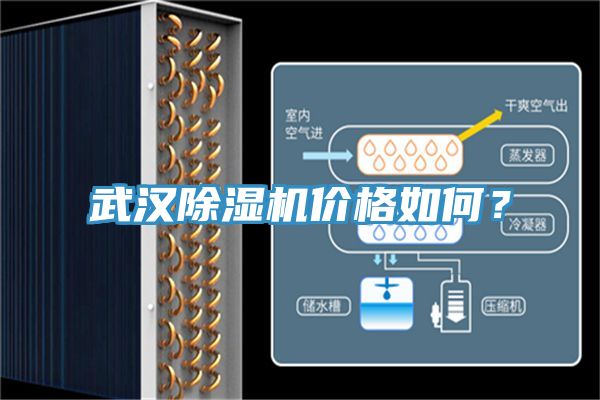 武漢杏仁视频APP成人官方污價格如何？