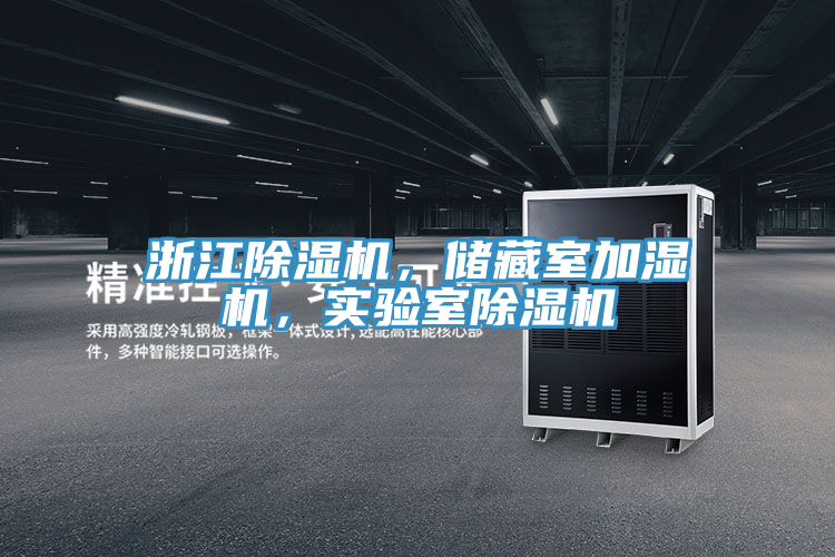 浙江杏仁视频APP成人官方污，儲藏室加濕機，實驗室杏仁视频APP成人官方污
