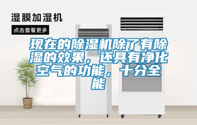 現在的杏仁视频APP成人官方污除了有除濕的效果，還具有淨化空氣的功能，十分全能