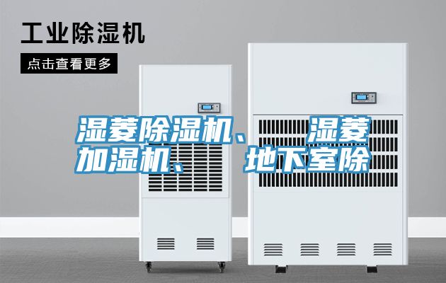 濕菱杏仁视频APP成人官方污、  濕菱加濕機、  地下室除