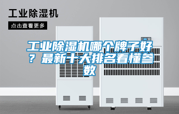 工業杏仁视频APP成人官方污哪個牌子好？最新十大排名看懂參數