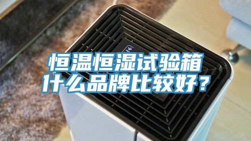 恒溫恒濕試驗箱什麽品牌比較好？