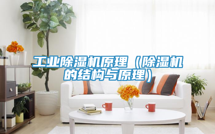 工業杏仁视频APP成人官方污原理（杏仁视频APP成人官方污的結構與原理）