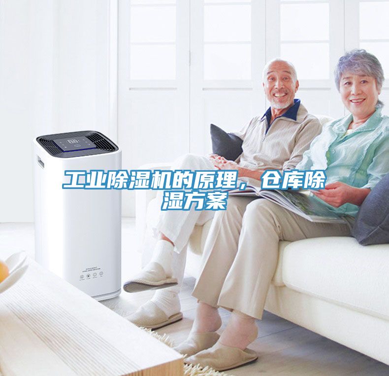 工業杏仁视频APP成人官方污的原理，倉庫除濕方案