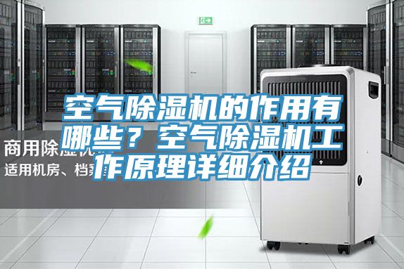 空氣杏仁视频APP成人官方污的作用有哪些？空氣杏仁视频APP成人官方污工作原理詳細介紹