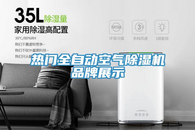 熱門全自動空氣杏仁视频APP成人官方污品牌展示